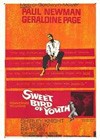 Sweet Bird Of Youth (1962).jpg